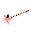 Star Silver Straight Nose Stud NSKA-604